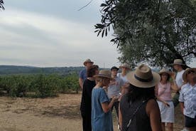 Tour privato di degustazione di vino e cava nella regione di Penedés con prelievo dall'hotel