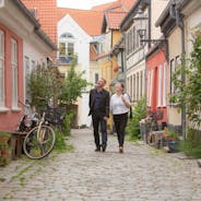 Aalborg panoramic view.