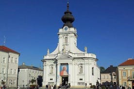 De Cracóvia: Wadowice + Częstochowa Madona Negra