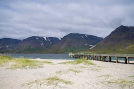 Privater Wakeboard- oder Wasserski-Ausflug in den Westfjorden