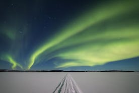 Aurora Hunting Safari to Lake Inari from Saariselkä, dinner in Aurora Island