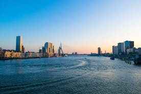Yksityinen kiertue: Rotterdamin kävelykierros, joka sisältää satamaristeilyn