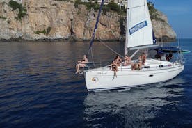 La Herradura: Navegar en Velero con vista de Delfines-Privada 