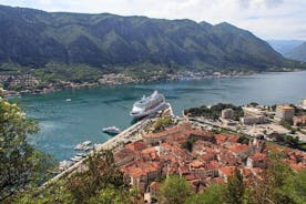 Excursão luxuosa à vila de Perast e Njegusi