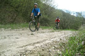 Private Cycling Tour in Tbilisi National Park from Tbilisi