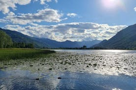 Tindur Balkanskaga, Prokletije þjóðgarðurinn frá Podgorica