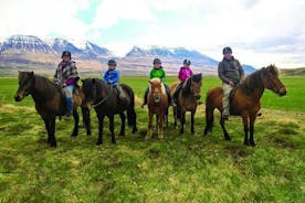 Tour a cavallo per famiglie a Skagafjörður