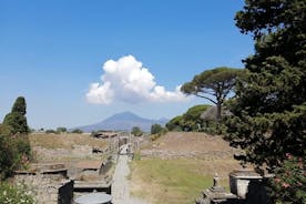 Skip-the-Line Pompeii & Volcano Vesuvius Day Tour w Hotel of Port Pickup