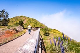 Øst for Madeira | Heldags 4x4 tur
