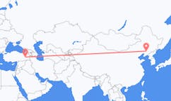 中国の瀋陽から、トルコのムシュまでのフライト