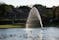Photo of fountain in the lake in Eastrop park, Basingstoke, UK.