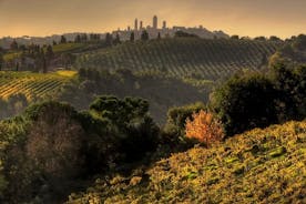 Lille gruppe Chianti og San Gimignano Sunset Trip fra Siena