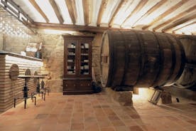 Rioja Wine Route med vingårdseier