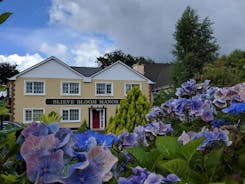 Slieve Bloom Manor Eco B&B