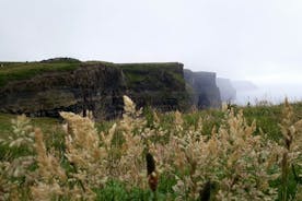 Scogliere di moher ja Galway italiaksi