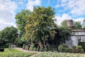 Stafræn hræætaleit og borgarsamkoma í Volksgarten í Köln