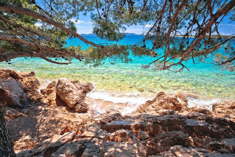 Photo of turquoise beach view through pine tree in Zadar.