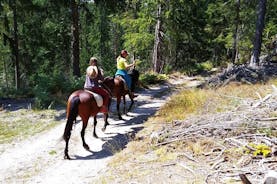 Excursão privada a cavalo ao topo de Perelik em Smolyan