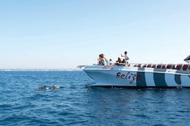 Dolphin Watching and Cave Boat Cruise from Albufeira