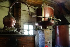 Excursão privada a partir de Cognac - Destilaria Cognac e Vinícola Bordeaux com um workshop