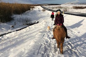 Tour a cavallo ad Akureyri