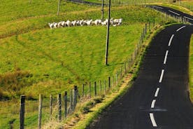 Excursão Terrestre: Dia de caminhada autoguiada Inishbofin Island Connemara coast.