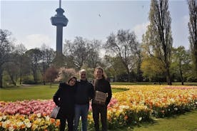 Rotterdam en une demi-journée: visite privée authentique et tout compris de Rotterdam