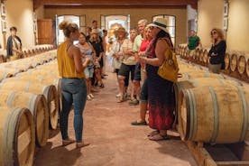 Bordeaux Vineyards Vinsmaking Halvdagstur
