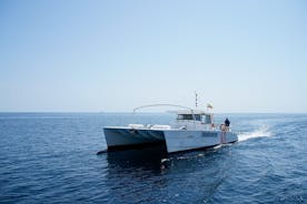 カルペ湾またはアルテア湾を通る双胴船