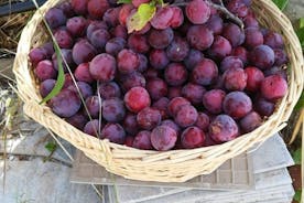 Lezione di cucina in una casa di campagna siciliana