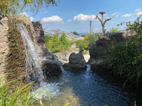 Zoo Zürich