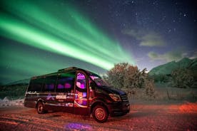 Tromso: Excursão para grupos pequenos para a Aurora Boreal