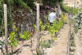 Tour in de bedwelmende geuren van onze tuin in Ragusa