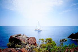 Katamarantur med bad i havet från hamnen i Denia