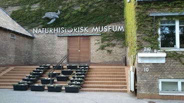 Naturhistorisk Museum Aarhus