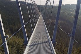 Dag i himlen - Dolní Morava Sky 721 Bridge med frokost og bobslædekørsel