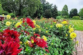 Stafræn hljóðbókaleit og borgarsamkoma í Flora Cologne