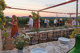 Dîner dans le vignoble avec dégustation de vins et promenade