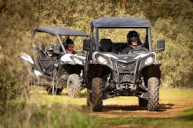 Porto Buggy Adventure: Guided Tour to Ruins and Typical Village