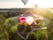 photo of Vilnius ,Lithuania - JULY 3, 2020: Colorful hot air balloons taking off in vingis park in Vilnius city on sunny summer evening. Lots of people watching as balloons fly away.