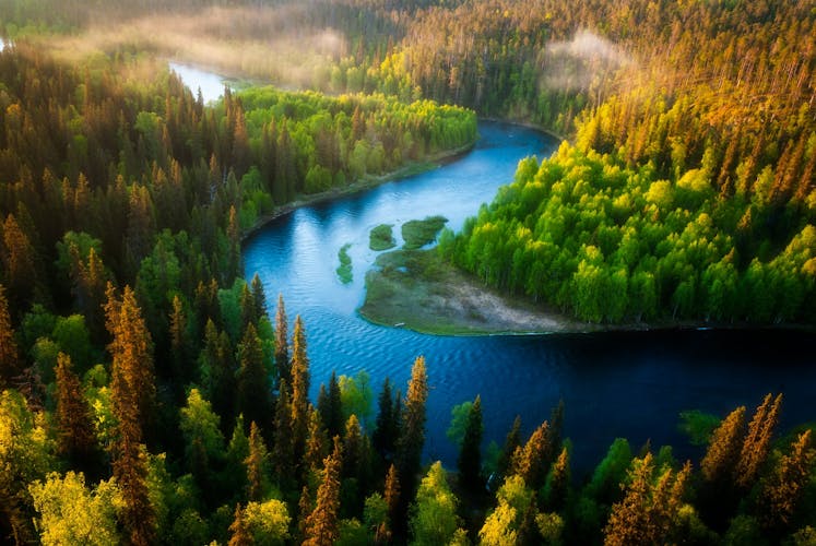 Photo of Looking down from the Pähkänäkallio cliff at the Kitkajoki river meandering through the Taiga forests of Oulanka National Park in Kuusamo.