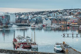 Tromso Einkaflutningur frá miðbæ Tromso til Tromso flugvallar