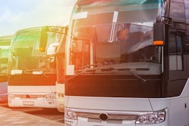 Kefalonia: Bus Transfer Between Airport and Argostoli/Lassi areas