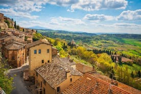 Excursão privada de vinho de dia inteiro em Montalcino e Montepulciano saindo de Siena