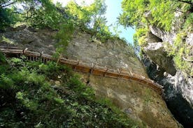 De Bled: trilha de descoberta