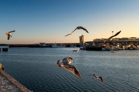 Vila do Conde - city in Portugal