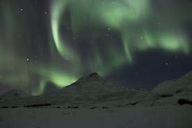 Tour fotográfico - Caça à luz do norte de Akureyri