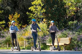 Hyggelig utleie av elektrisk scooter - høy rekkevidde