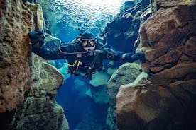 Silfra: Diving Between Tectonic Plates - Mød på stedet