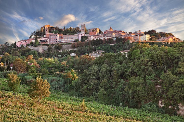 Photo of landscape of the green countryside with vineyard and the ancient hill town known for its excellent wines.